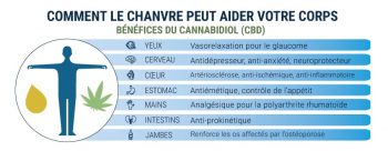 Comment le CBD agit sur notre corps ?