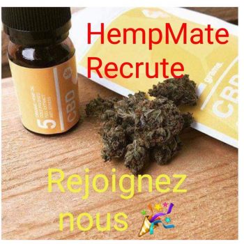 HEMPMATE recrute !!